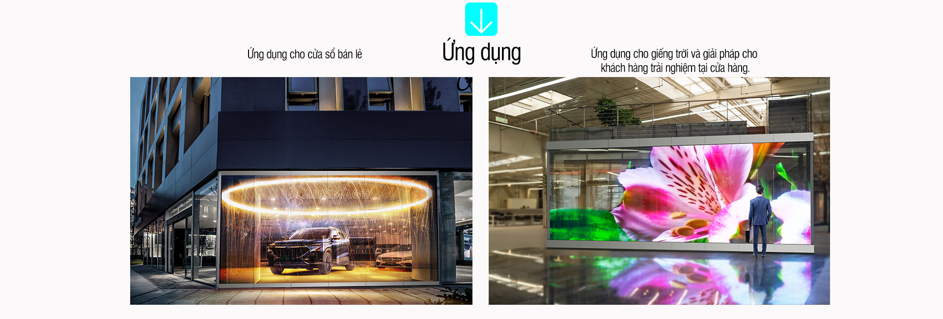 màn hình led trong suốt nsn Luxmage