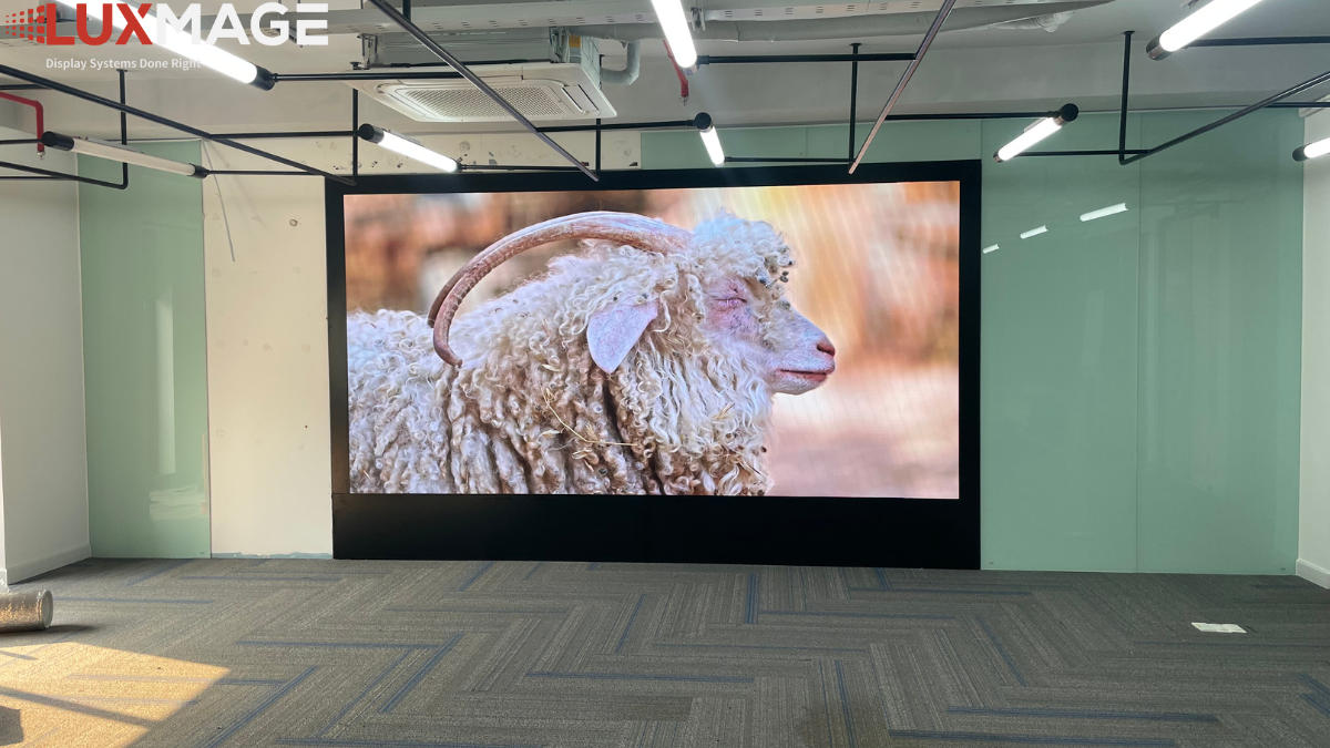 Phòng họp doanh nghiệp sau khi sử dụng màn hình LED